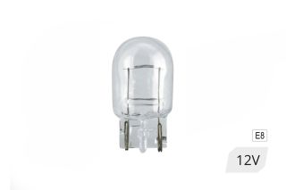 W21W 12V-doos, 10 stuks.