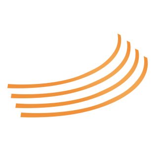 VELGENSTICKER T2 ORANJE