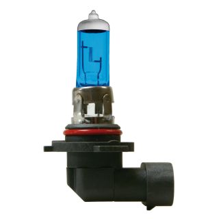 2 LAMPJES H10 42W BLAUW