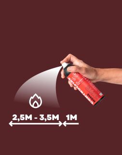 CONTROL FIRE 200ml
