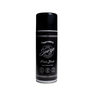DESODORISANT 400ml FROZEN
